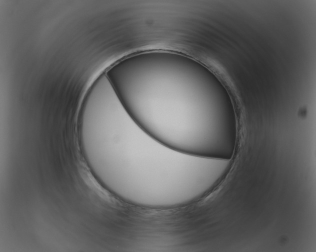 X0000115700892200912241520