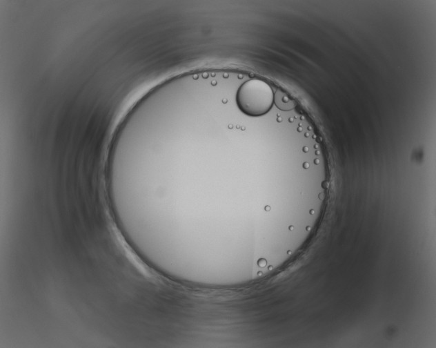 X0000115700894200912241520