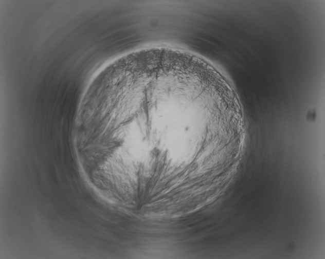 X0000115700895200912241520