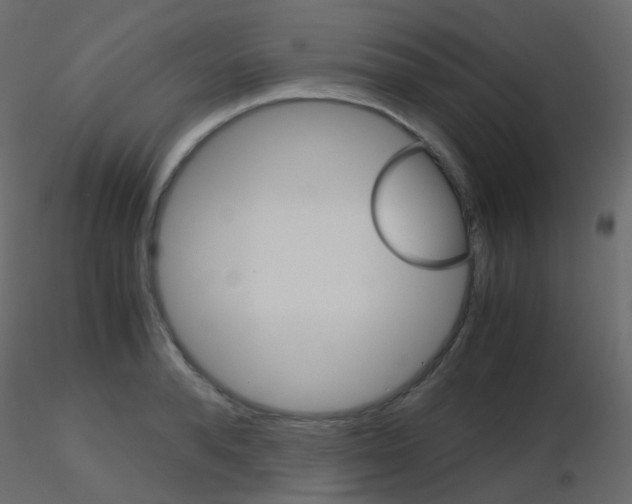 X0000115700896200912241520