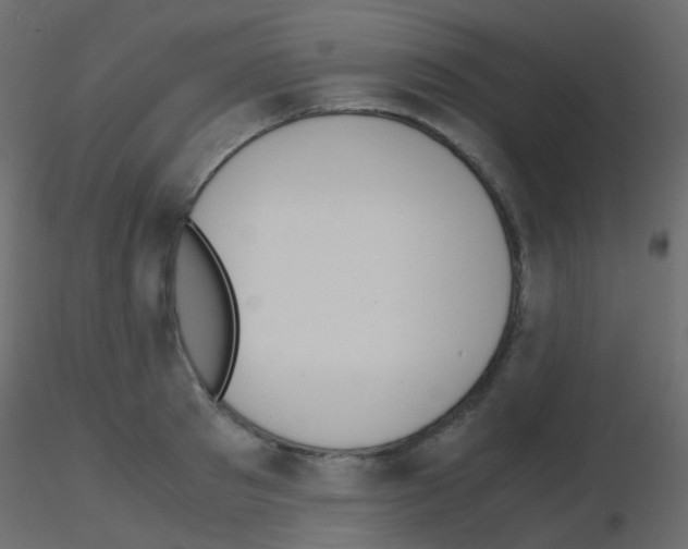 X0000115700897200912241520