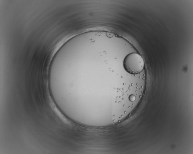 X0000115700898200912241520