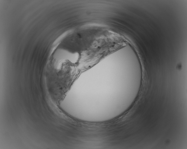 X0000115700899200912241520