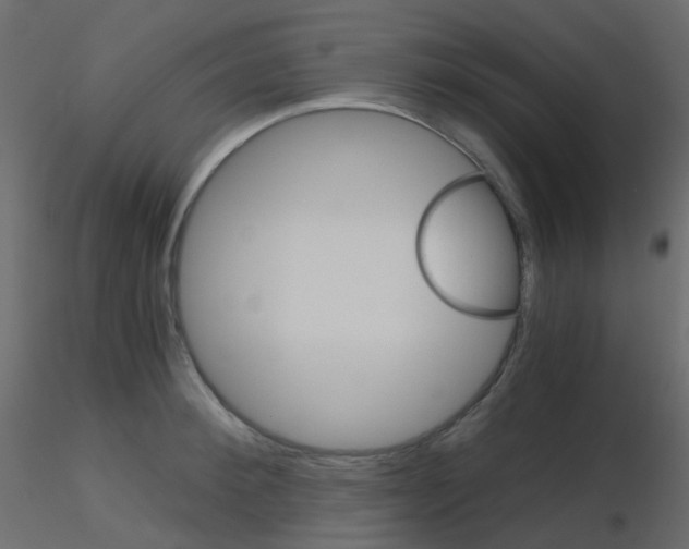 X0000115700900200912241520