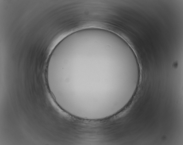 X0000115700901200912241520