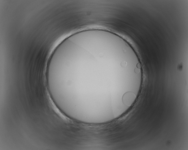 X0000115700902200912241520