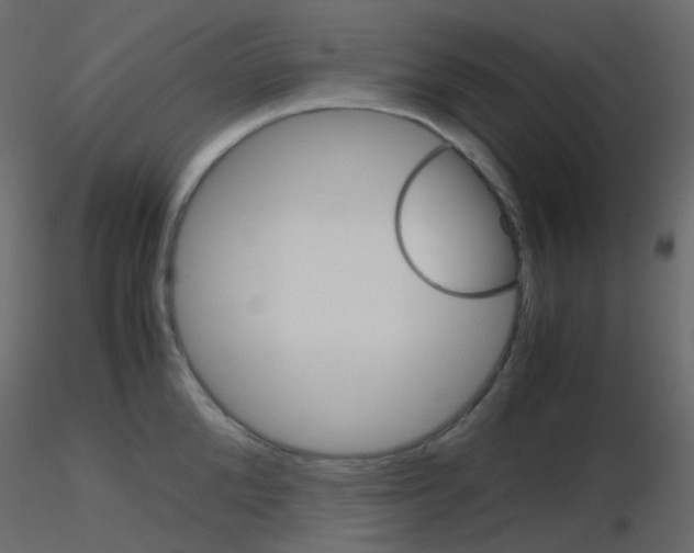 X0000115700904200912241520