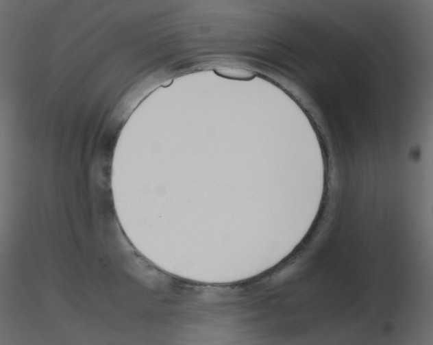 X0000115700905200912241520