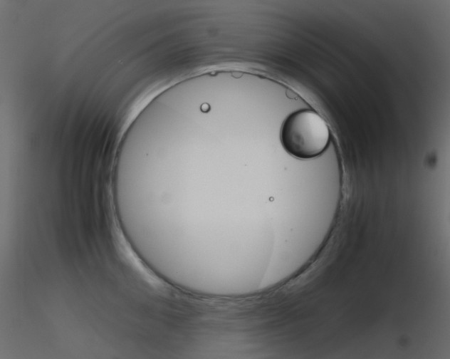 X0000115700906200912241520