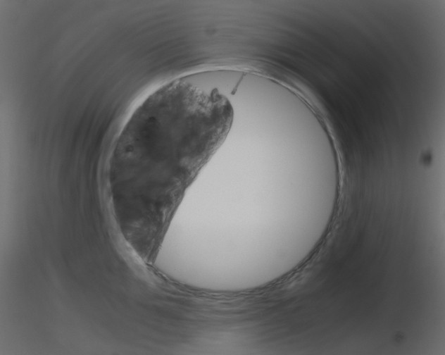 X0000115700907200912241520