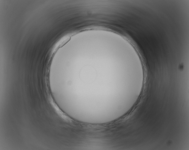 X0000115700909200912241520