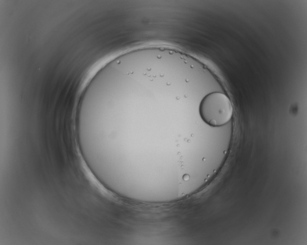 X0000115700910200912241520