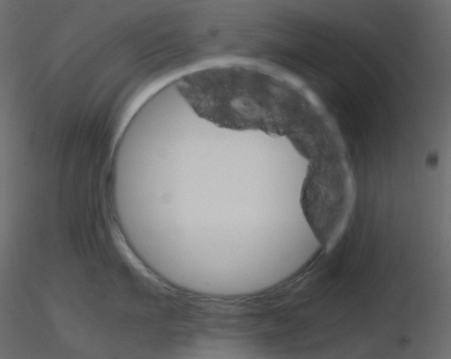 X0000115700911200912241520