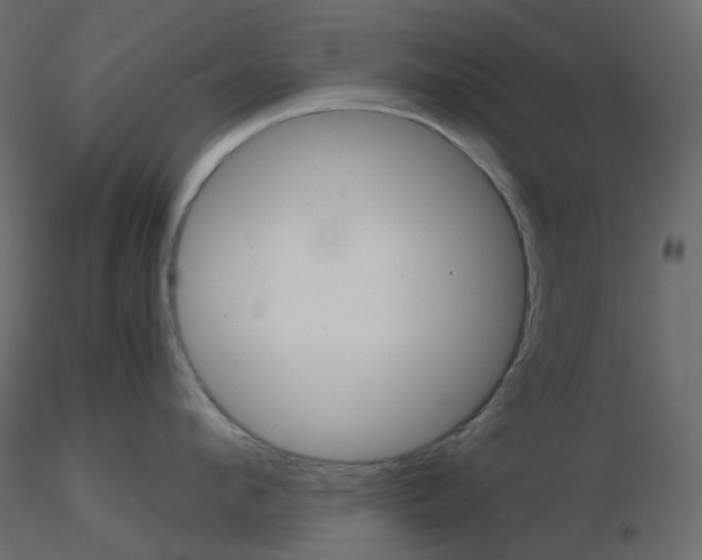 X0000115700912200912241520