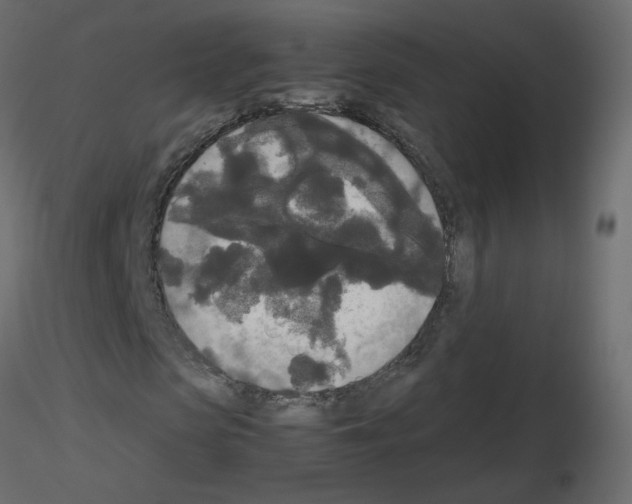 X0000115700913200912241519