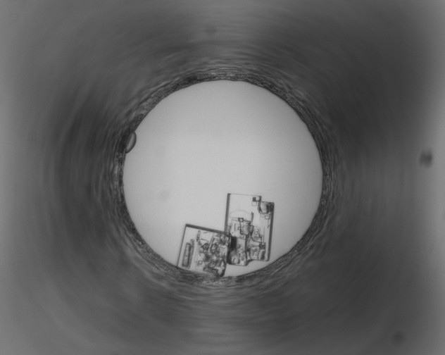 X0000115700914200912241519