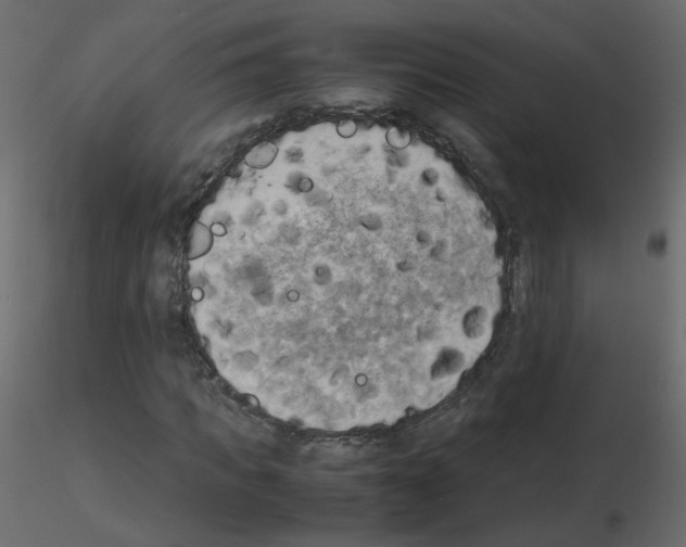 X0000115700917200912241519