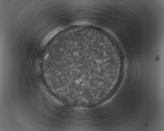 X0000115700921200912241519