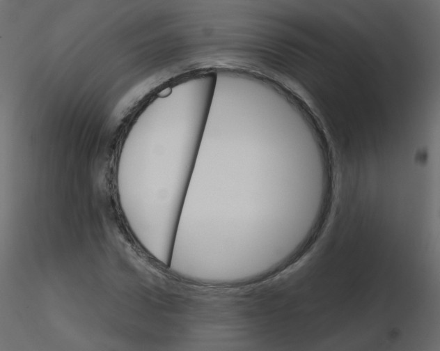 X0000115700922200912241519