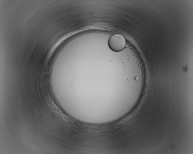 X0000115700923200912241519