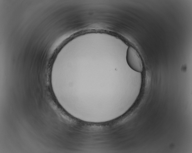 X0000115700925200912241519