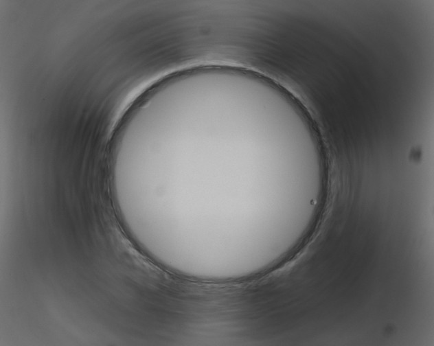 X0000115700926200912241519