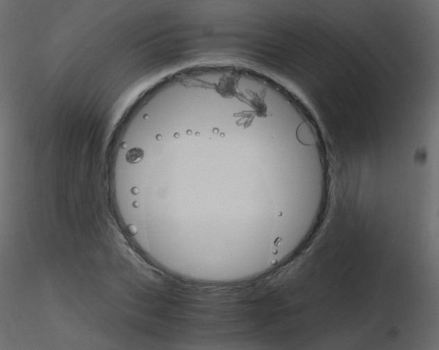 X0000115700927200912241519