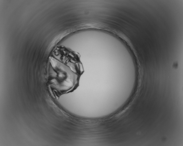 X0000115700930200912241519