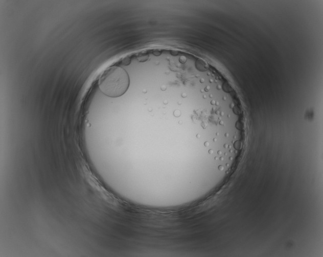 X0000115700931200912241519