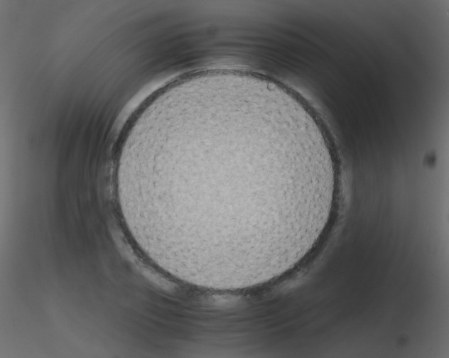 X0000115700933200912241519