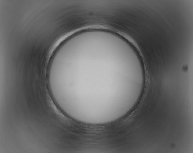 X0000115700935200912241519