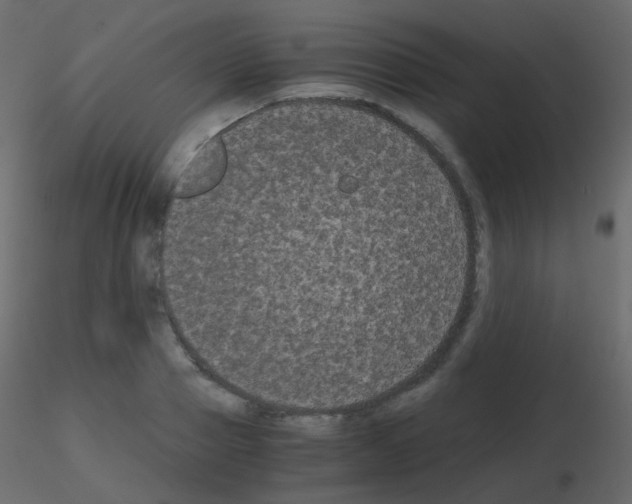 X0000115700937200912241520