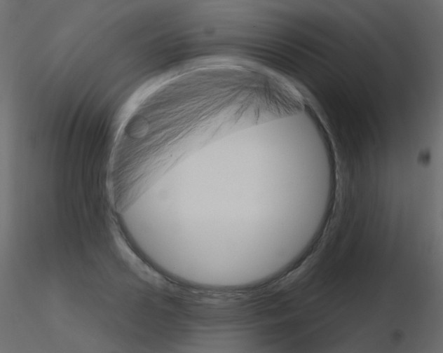 X0000115700938200912241520