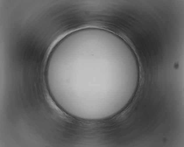 X0000115700939200912241520