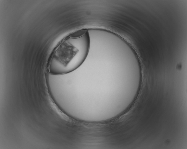 X0000115700942200912241520