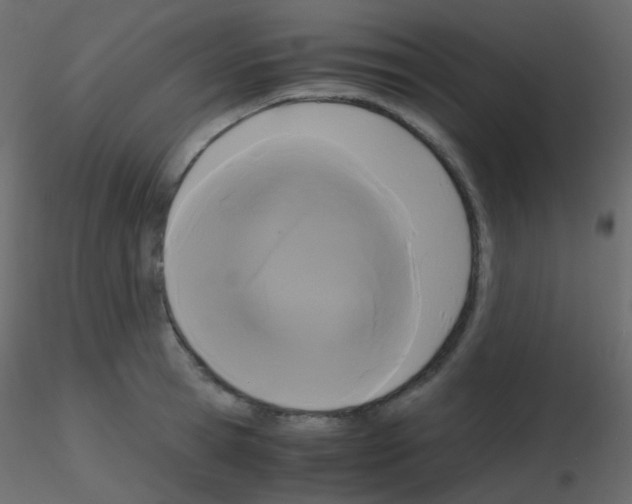 X0000115700945200912241520