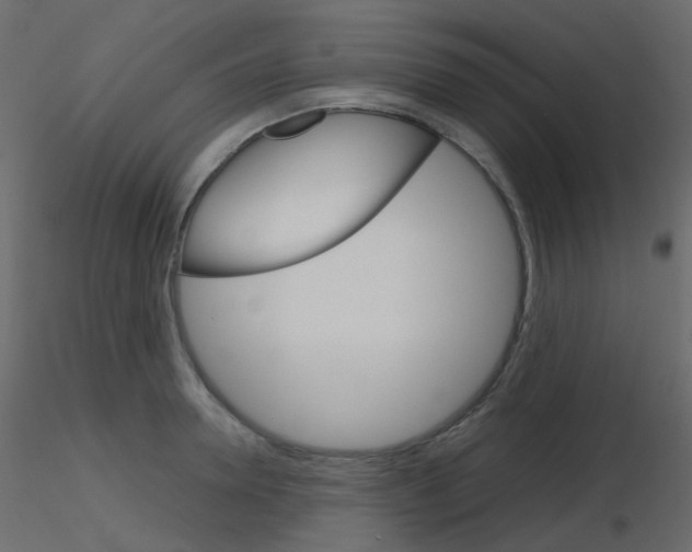 X0000115700946200912241520