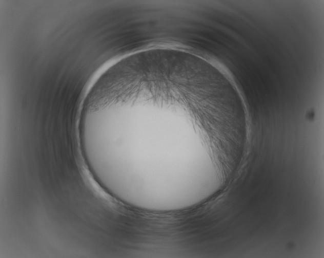 X0000115700947200912241520