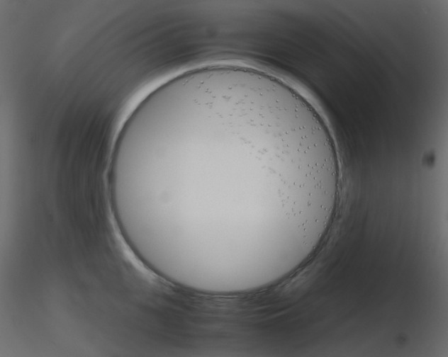 X0000115700951200912241520