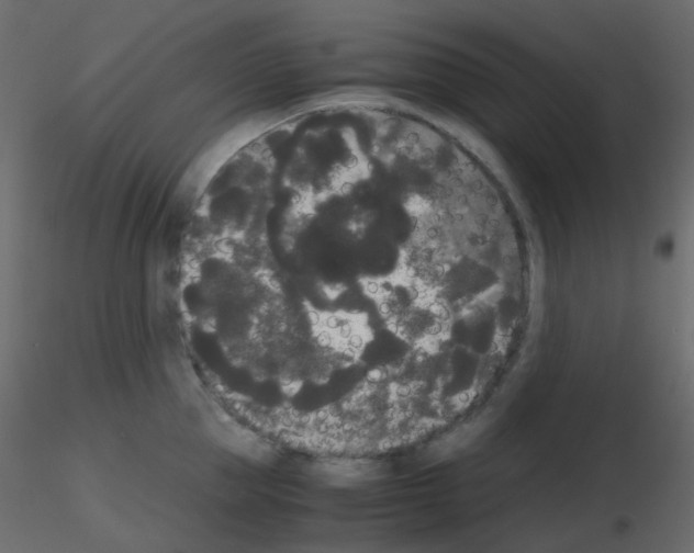 X0000115700953200912241520