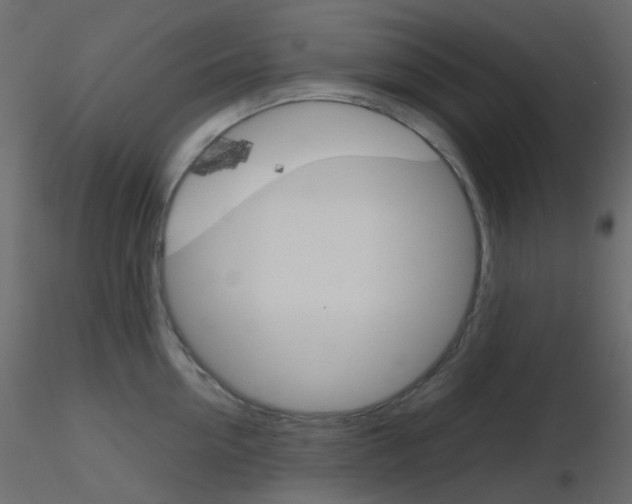 X0000115700954200912241520