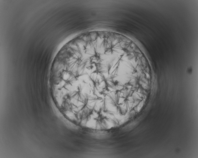 X0000115700957200912241520