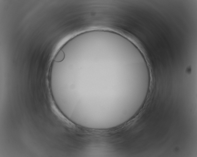 X0000115700958200912241520