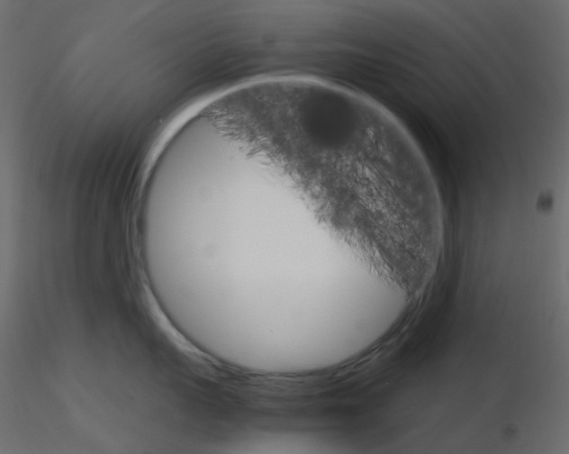 X0000115700959200912241520