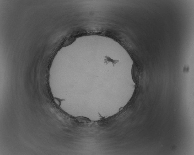 X0000115700961200912241519