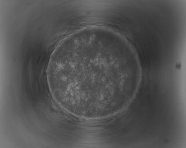 X0000115700962200912241519