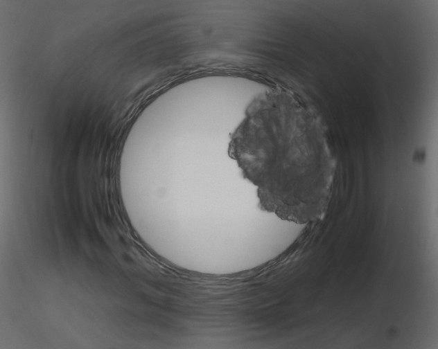 X0000115700964200912241519