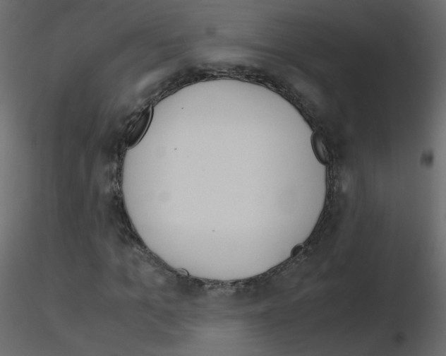 X0000115700965200912241519