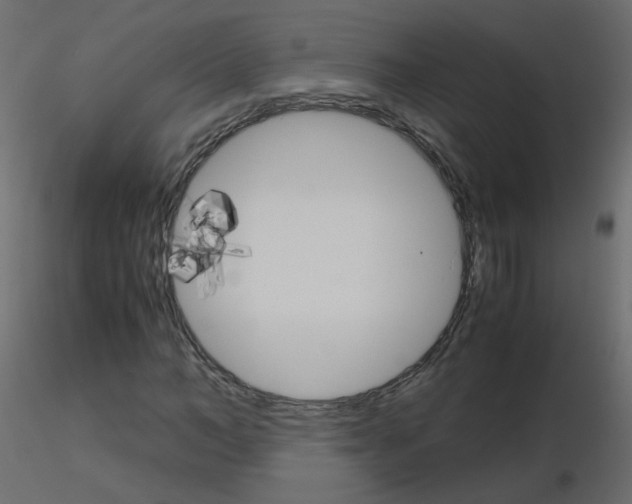 X0000115700966200912241519