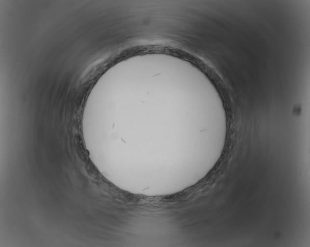 X0000115700967200912241519